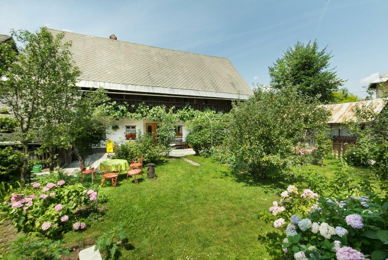 House, Garden And A Green Cat Bled Eksteriør bilde